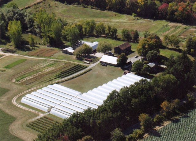 Boston Springs Farm Aerial View