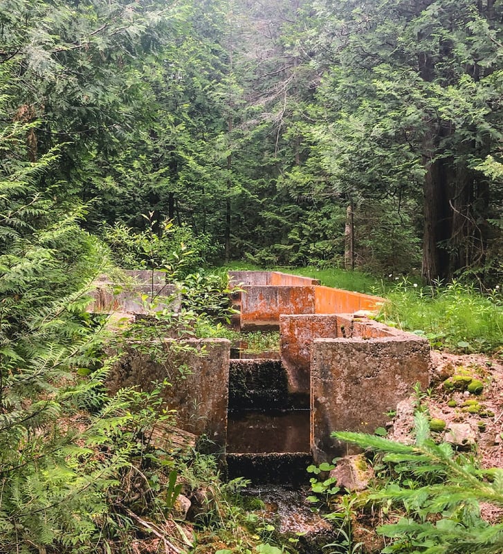 Kolapore Springs Trout Hatchery