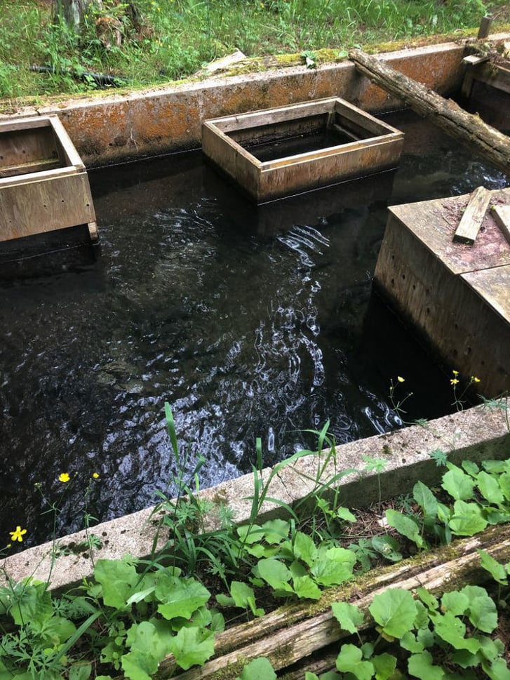 Kolapore Springs Trout Hatchery