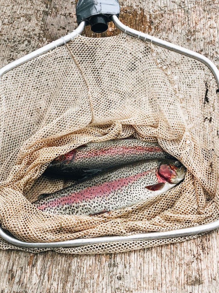 Kolapore Sprints Trout Dip Nets